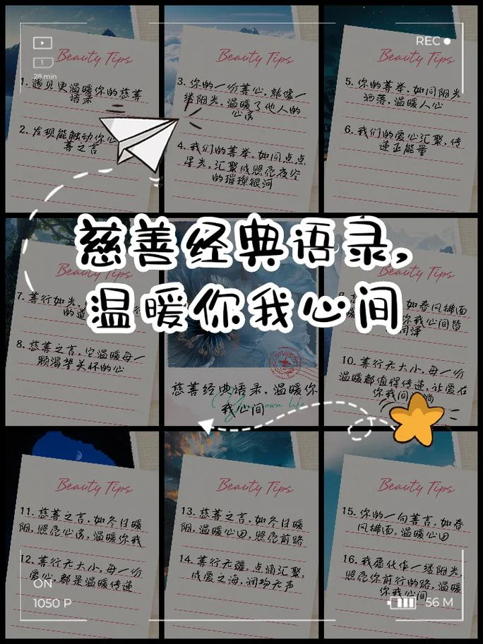 公益活动感悟一句话_1