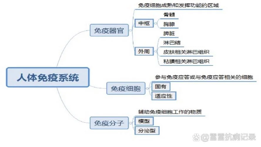 什么是群体免疫原理_2