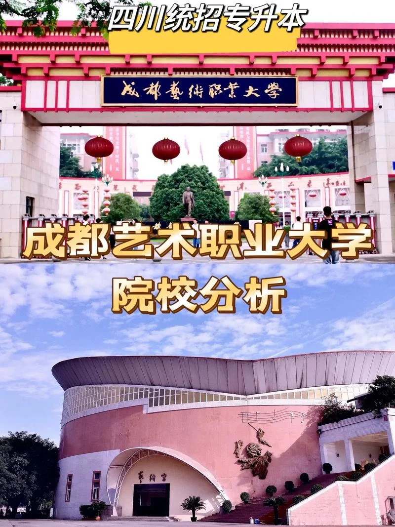 成都有什么艺术类大学-成都艺术类大学