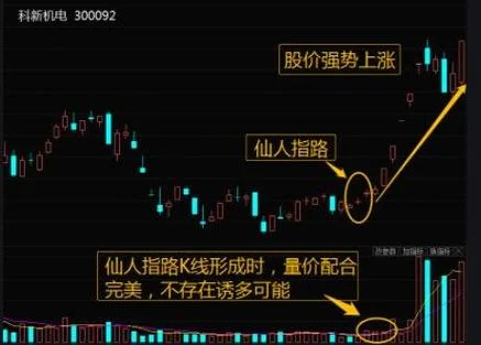 仙人指路下一句是什么-仙人指路下一句