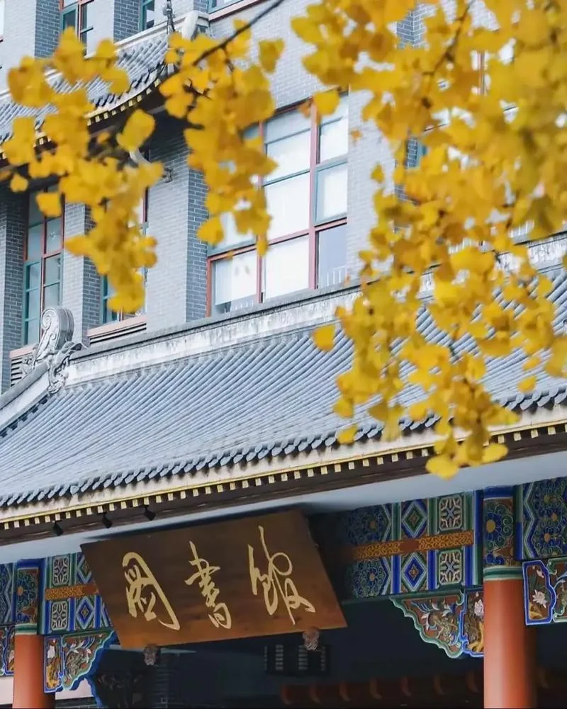 大学图书馆路灯_1