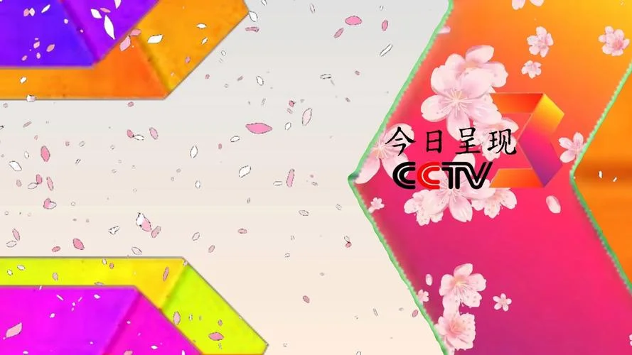 CCTV_1