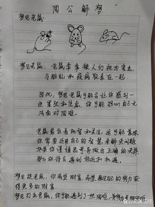 梦见抓老鼠打老鼠_2