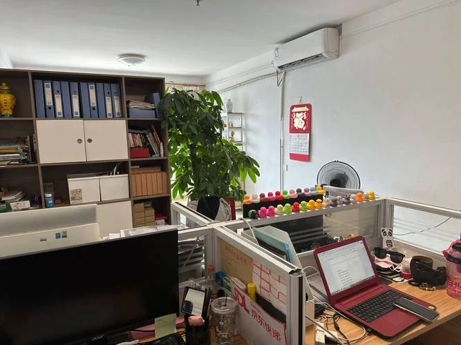 办公司的营业执照需要什么资料-营业执照办齐五项资料