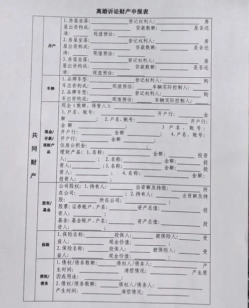 财产清单怎么写_2