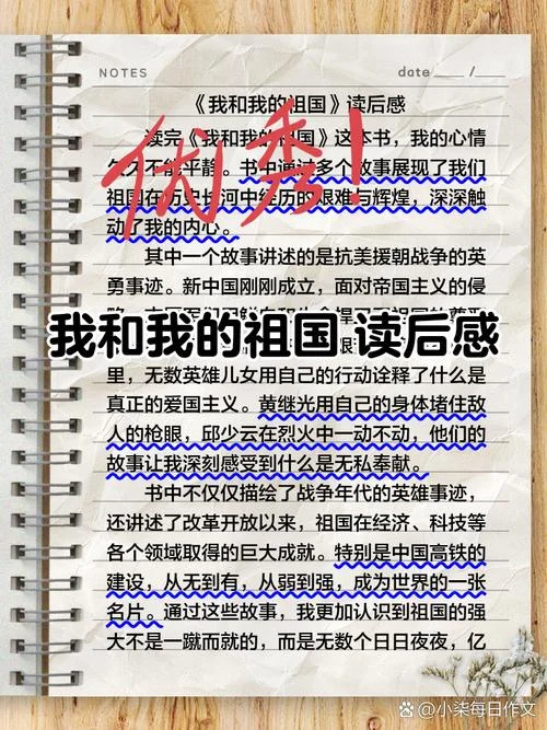 爱国读后感范文_2