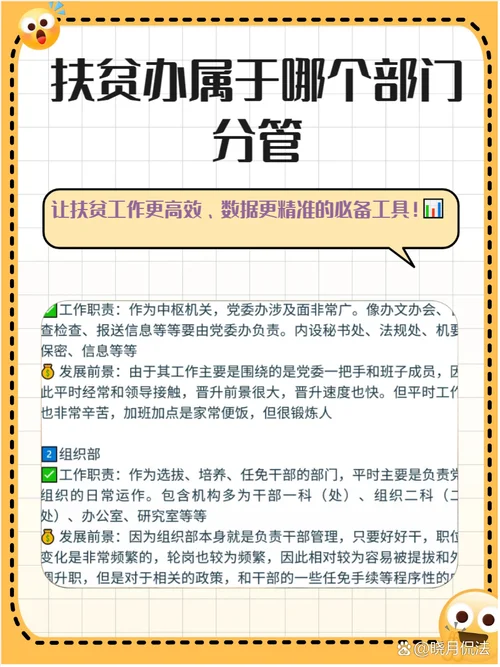 扶贫项目管理情况报告_1