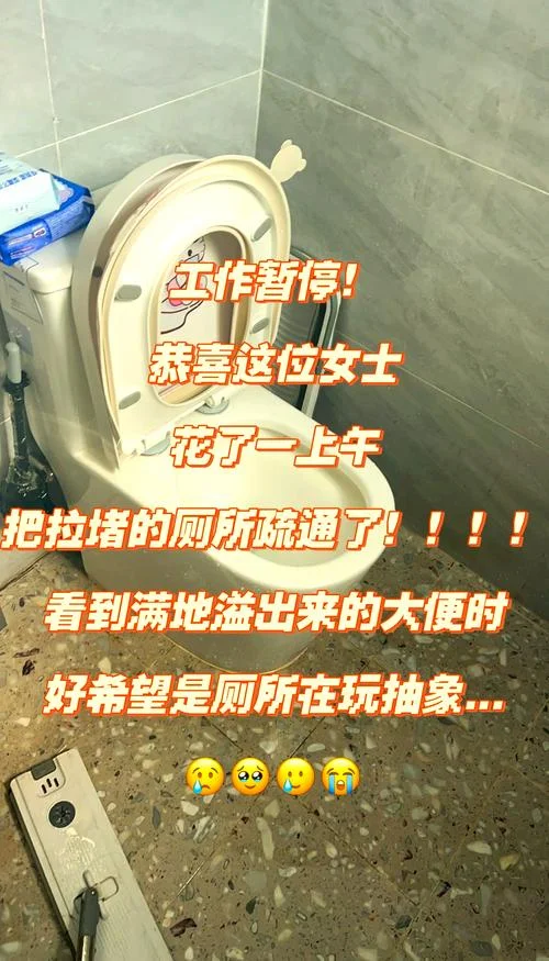 梦见上茅厕粪便满了_1