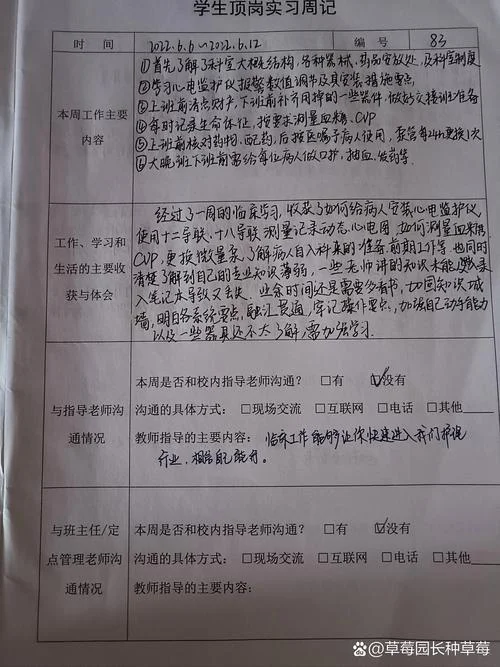 习讯云实习日报怎么写_1