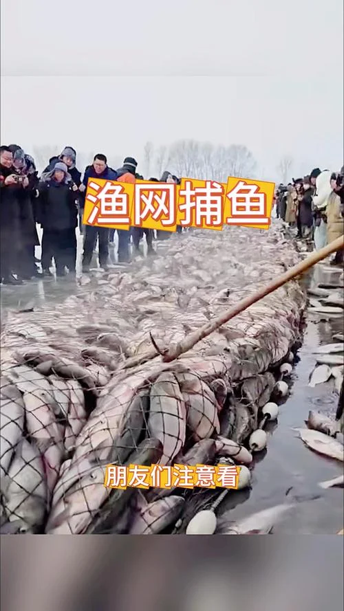 梦到下水用渔网捕鱼_2