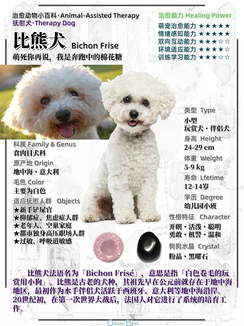 smile dog 出自哪里_1