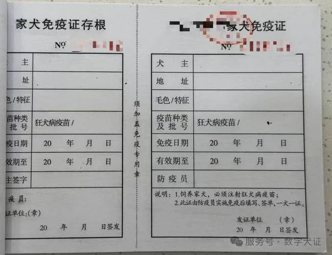 南宁宠物狗检疫证明-南宁犬只检疫证明