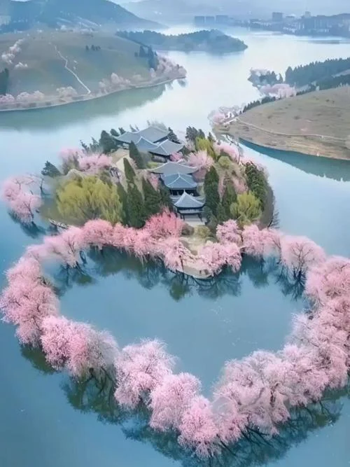 网红打卡地_1