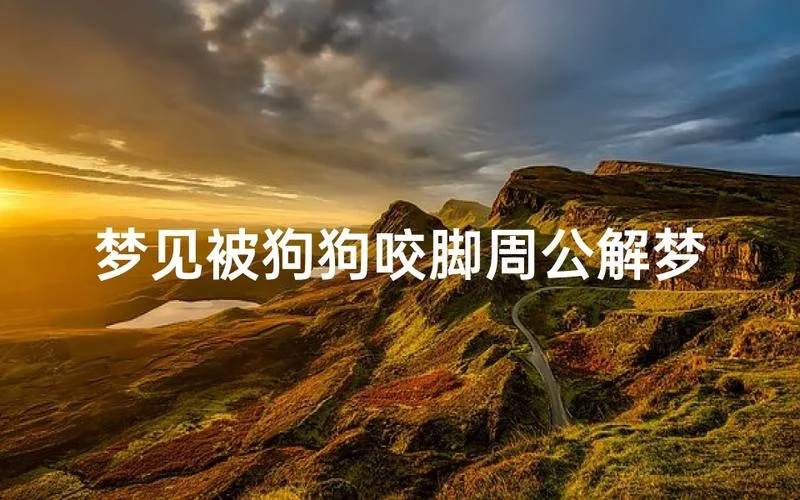 梦见被小狗追_1