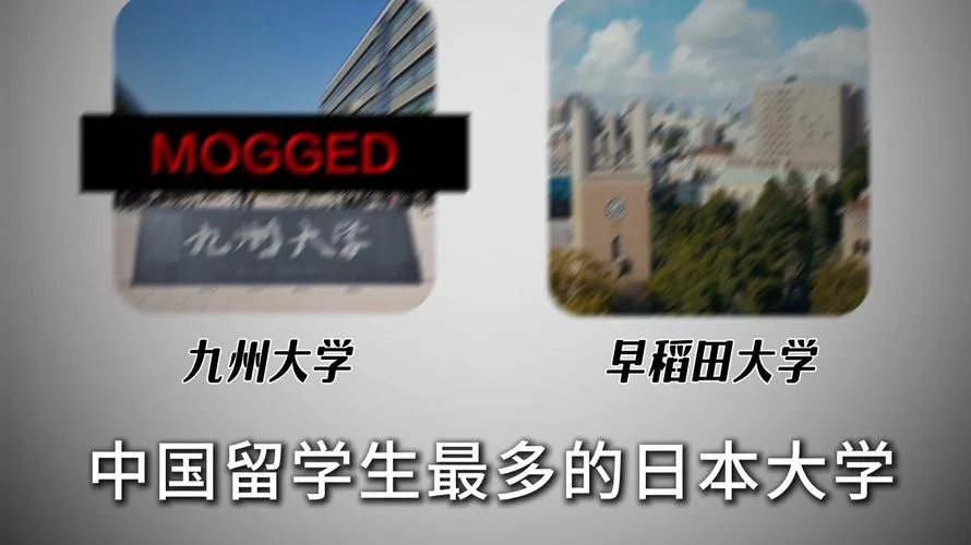 中国承认日本福祉大学_1
