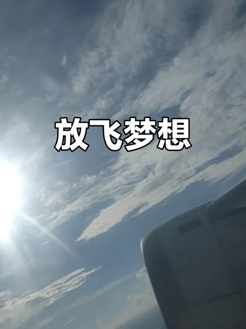 梦到自己会飞_2