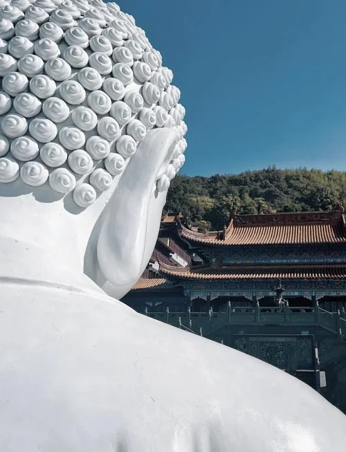 梦到半身佛像什么意思_2