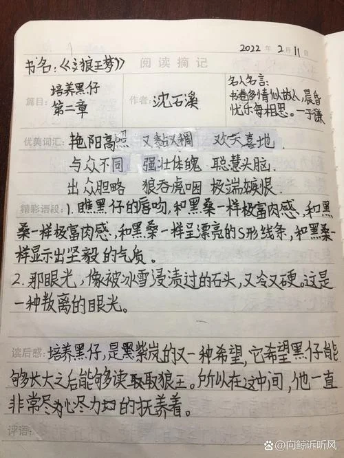 狼王梦读书笔记摘抄及感悟_2