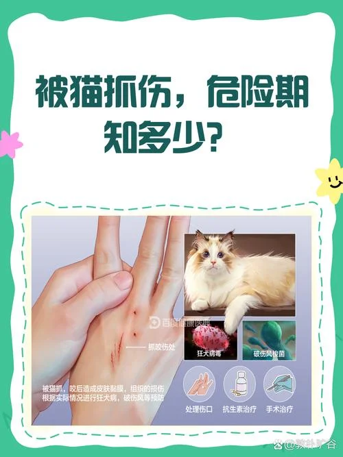 梦见被猫挠伤又咬伤_1