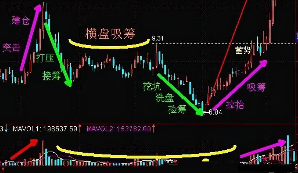 周线主力建仓公式_2