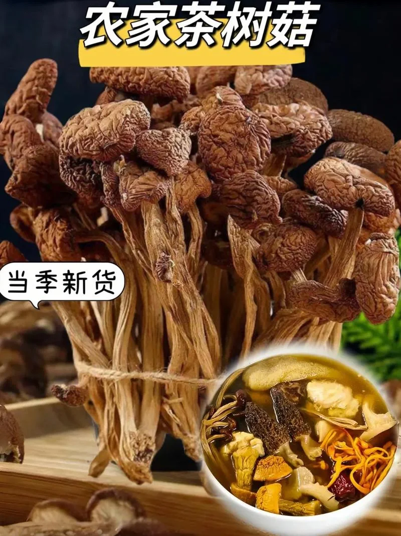 茶树菇价格多少钱一斤_1