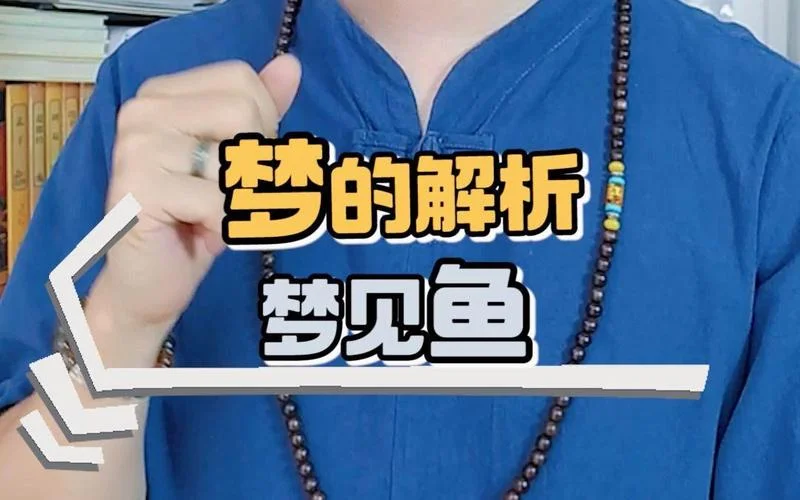 梦见买鱼回来什么意思_2
