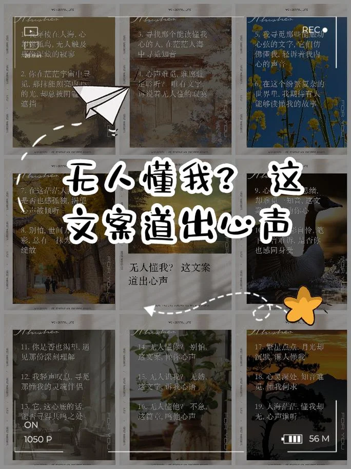 没人懂我文案_1