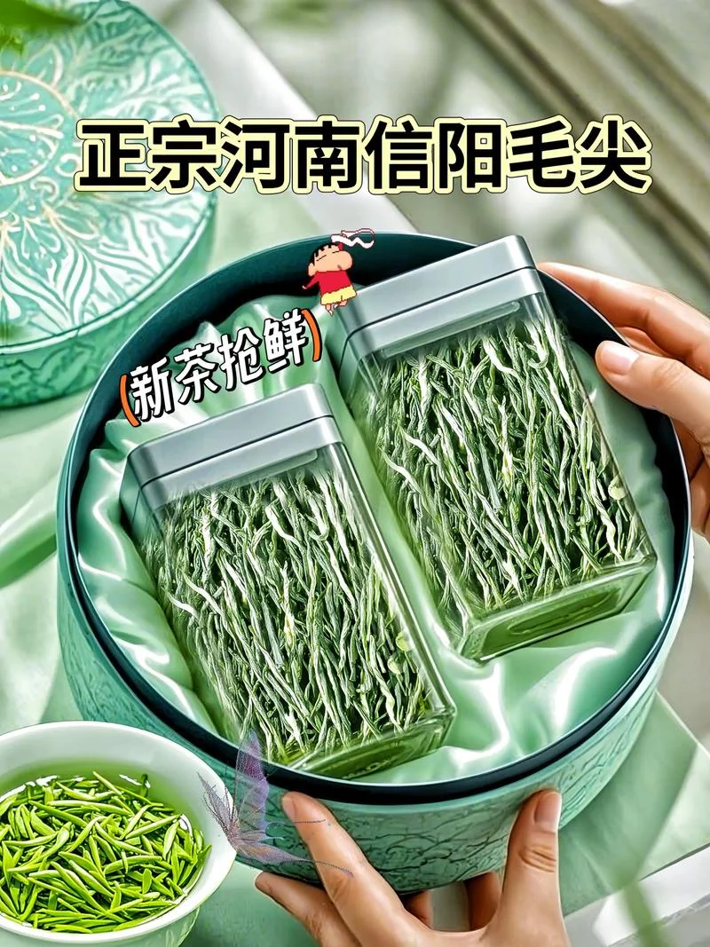 信阳毛尖初芽多少钱_1