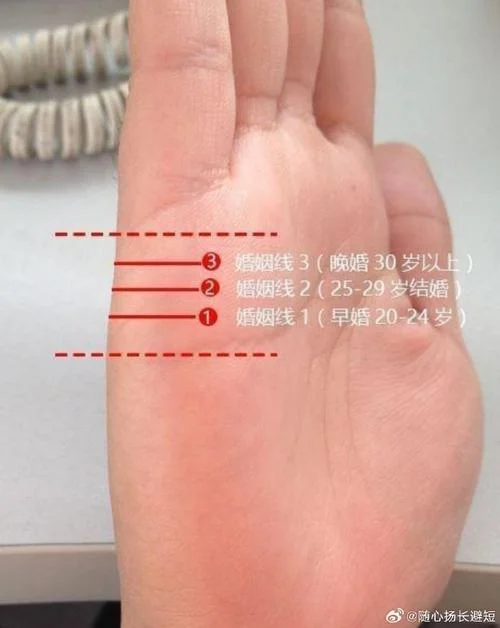 女的手相怎么看感情线-女手相感情线解读