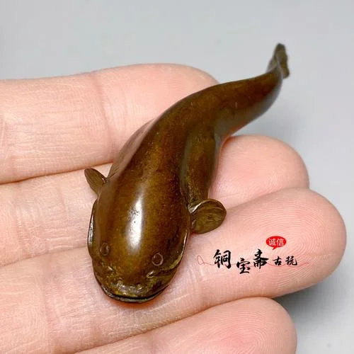 梦见鲶鱼在沟里游_1