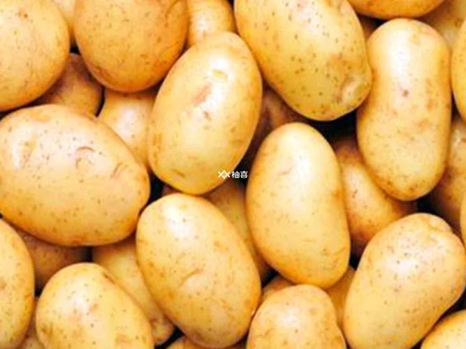 孕妇梦见土豆在水里_1