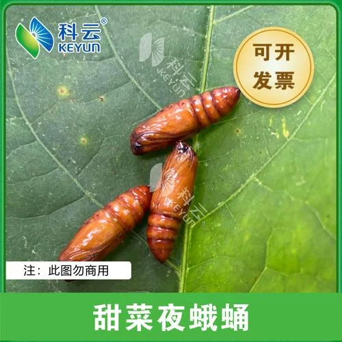 实验教学_2
