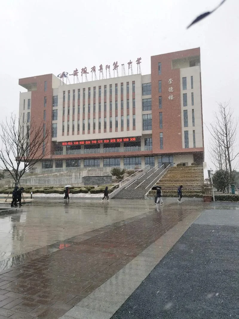 江苏省致远中学航拍_1