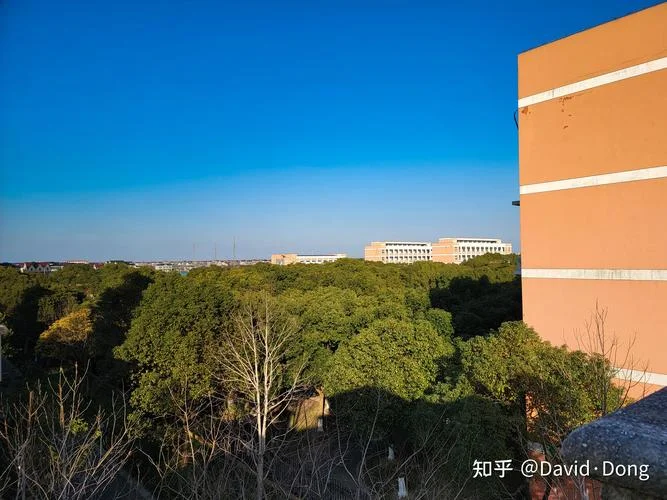 大团高级中学王蒙蒙-大团高级中学王蒙蒙