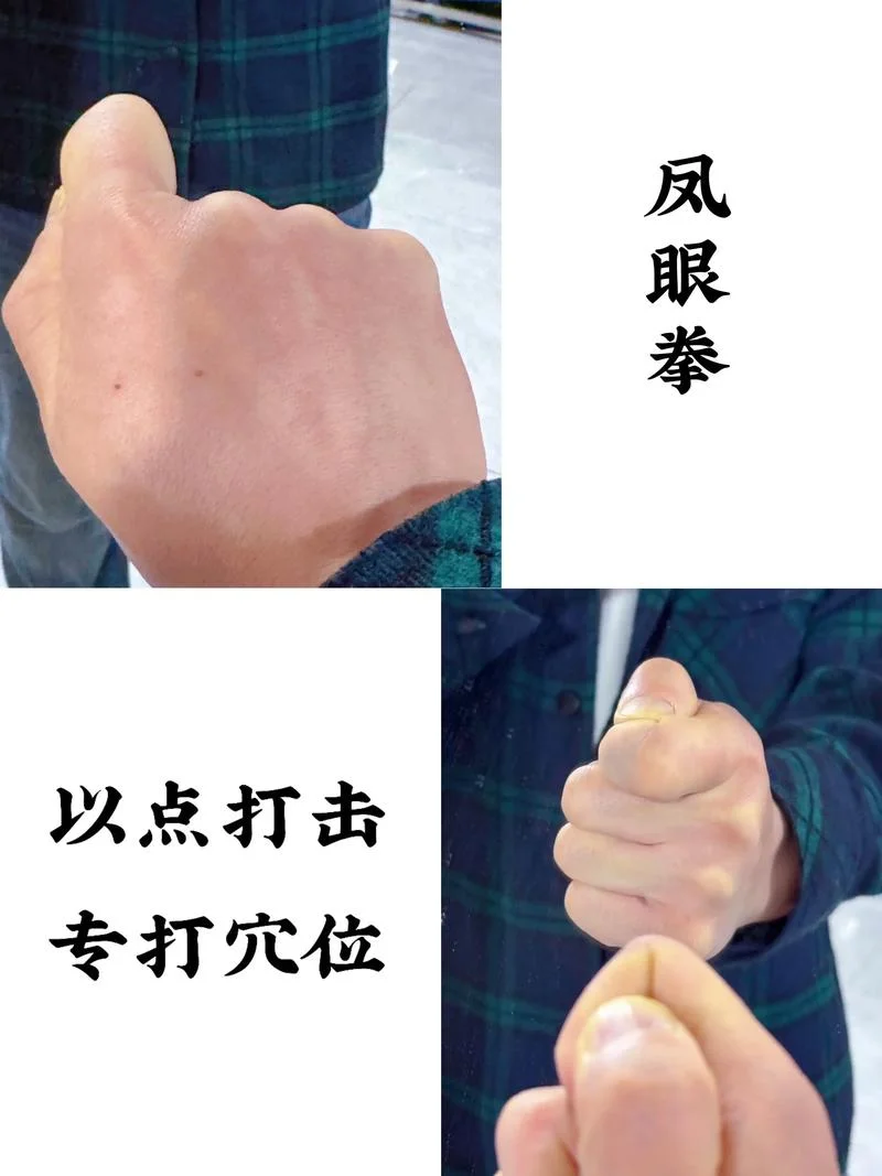 怎么学拳击-拳击学习速成
