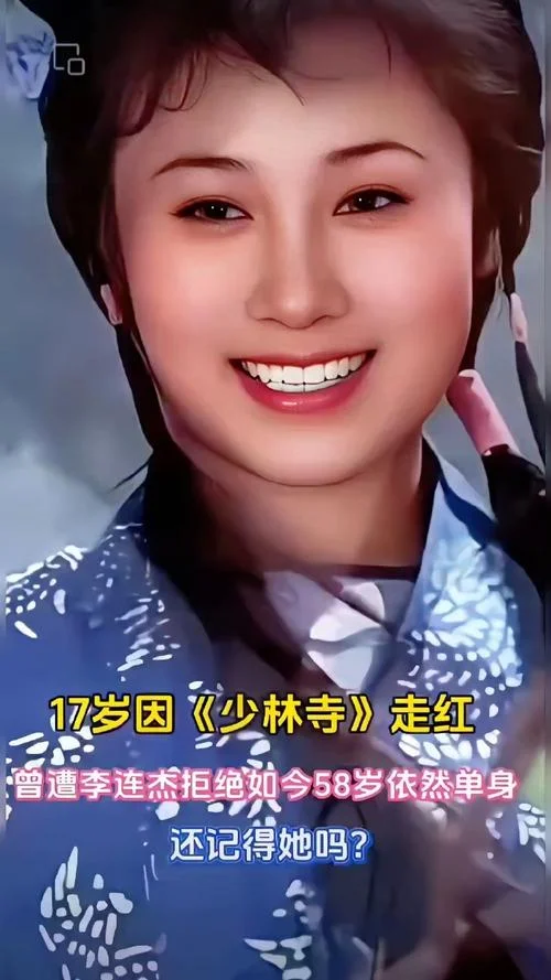 丁岚个人简介-丁岚个人简介