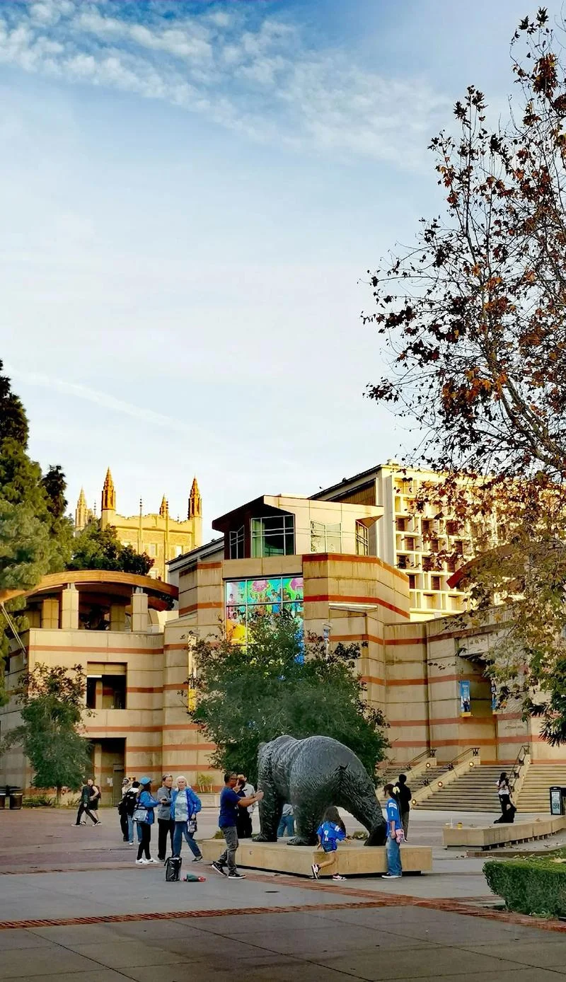 洛杉矶大学_1