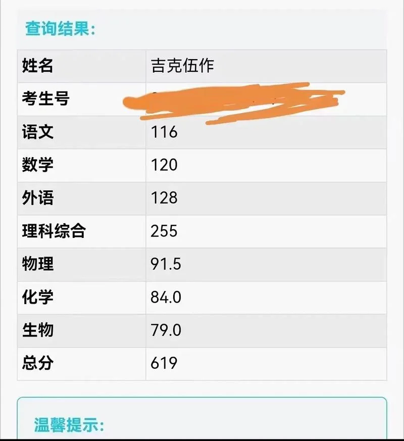信息技术成绩查询-信息技术成绩查询（10 字以内）
