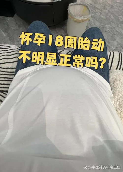 梦见怀孕而且胎动_2