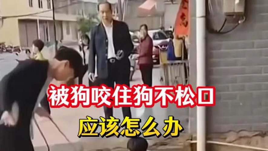女人梦见狗咬腿不松口_2