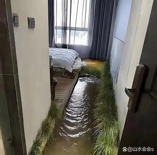 梦见房间里积水_2