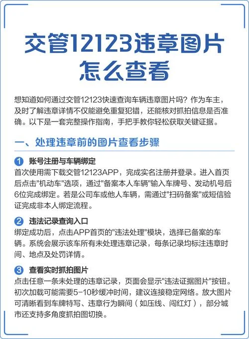 如何查车辆违章缴费_2
