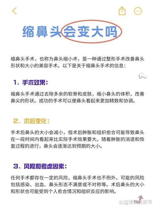 缩鼻头多少钱_2