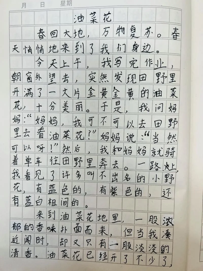 记叙文周记_2