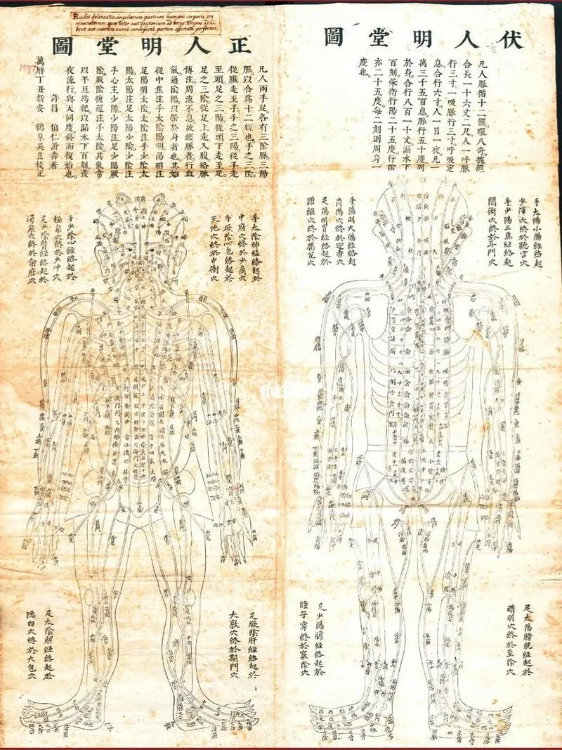 中医经络图原理_1
