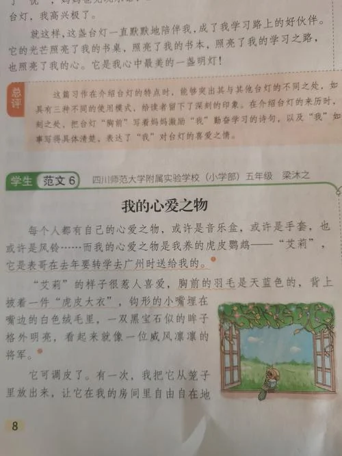 受宠若惊造句怎么写-受宠若惊造句