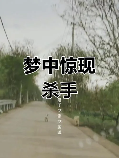 梦见杀人了很恐怖_1