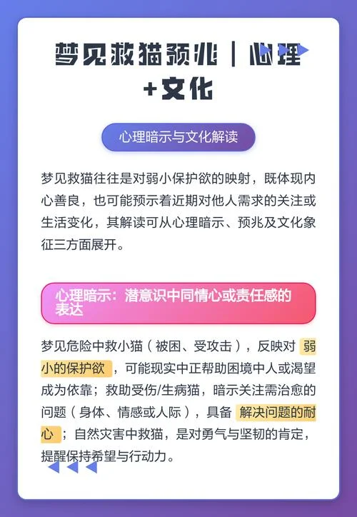 梦见猫是什么预兆呢_1