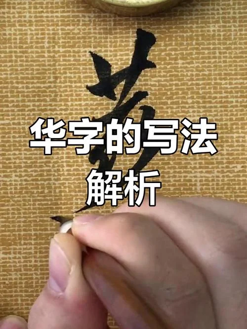 华的笔画顺序怎么写啊_1