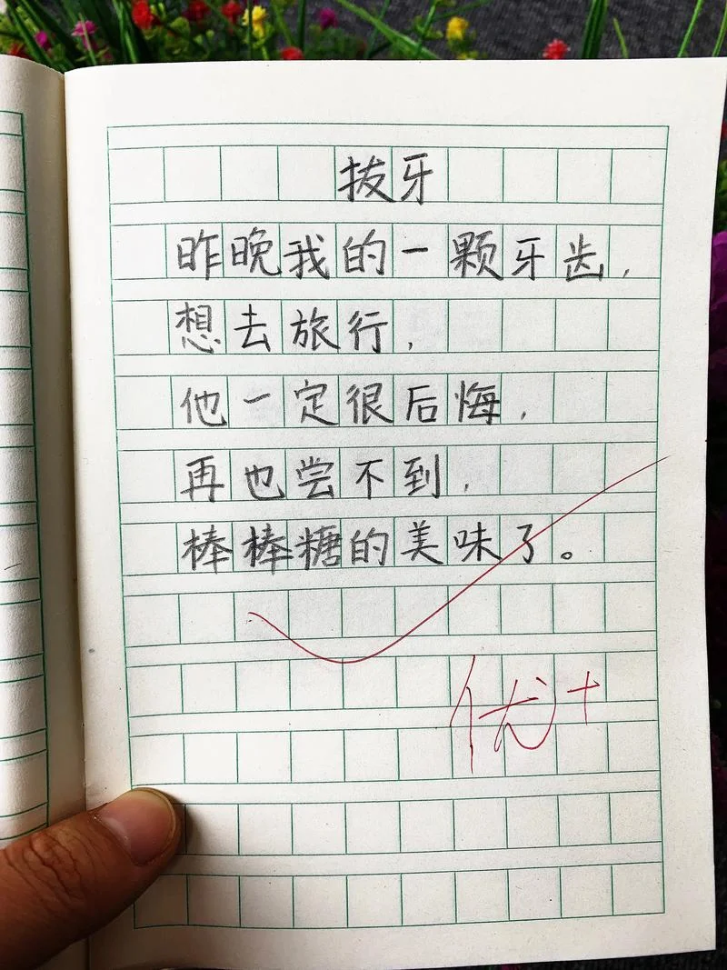 20字周记 小学-小学生周记 20 字